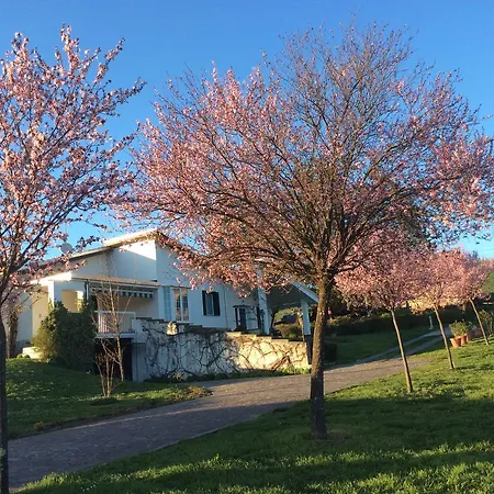 Bed & Breakfast Il Melograno Paderna (Piedmont)